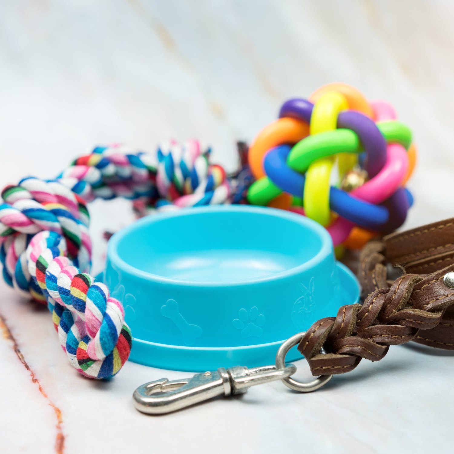 Produits vétérinaires, Pharmacie du Marché, Ruffec
